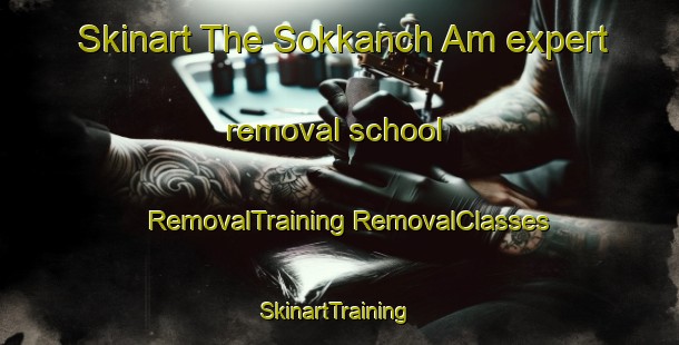 Skinart The Sokkanch Am expert removal school | #RemovalTraining #RemovalClasses #SkinartTraining-Korea