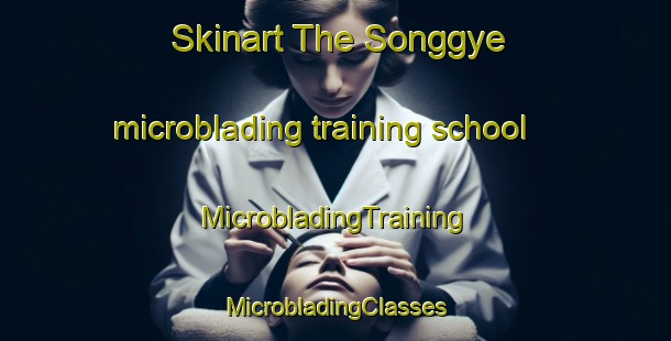 Skinart The Songgye microblading training school | #MicrobladingTraining #MicrobladingClasses #SkinartTraining-Korea