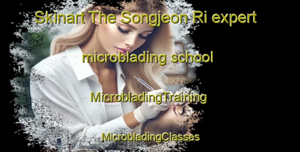 Skinart The Songjeon Ri expert microblading school | #MicrobladingTraining #MicrobladingClasses #SkinartTraining-Korea