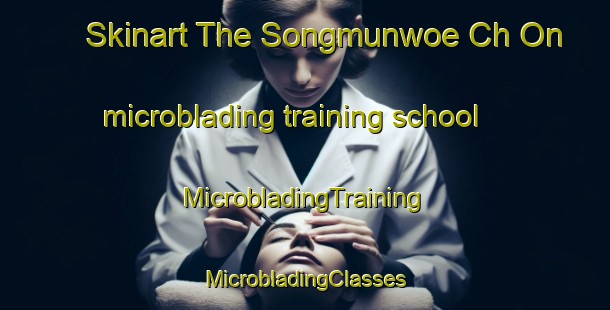 Skinart The Songmunwoe Ch On microblading training school | #MicrobladingTraining #MicrobladingClasses #SkinartTraining-Korea