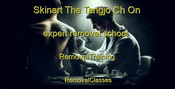 Skinart The Tangjo Ch On expert removal school | RemovalTraining | RemovalClasses | SkinartTraining-Korea