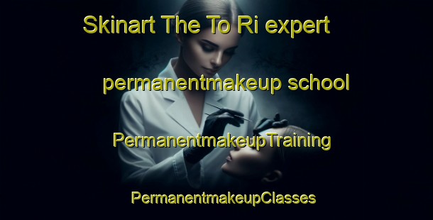 Skinart The To Ri expert permanentmakeup school | PermanentmakeupTraining | PermanentmakeupClasses | SkinartTraining-Korea