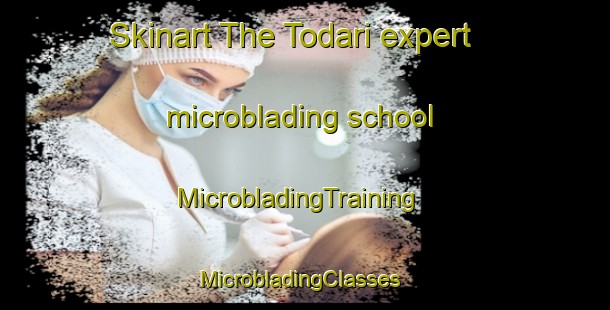 Skinart The Todari expert microblading school | MicrobladingTraining | MicrobladingClasses | SkinartTraining-Korea