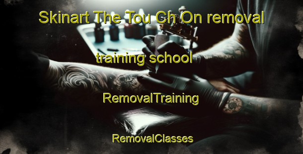 Skinart The Tou Ch On removal training school | RemovalTraining | RemovalClasses | SkinartTraining-Korea