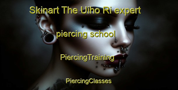 Skinart The Uiho Ri expert piercing school | #PiercingTraining #PiercingClasses #SkinartTraining-Korea