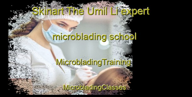 Skinart The Umil Li expert microblading school | MicrobladingTraining | MicrobladingClasses | SkinartTraining-Korea