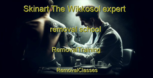 Skinart The Wikkosol expert removal school | RemovalTraining | RemovalClasses | SkinartTraining-Korea