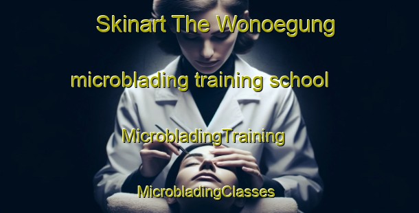 Skinart The Wonoegung microblading training school | MicrobladingTraining | MicrobladingClasses | SkinartTraining-Korea