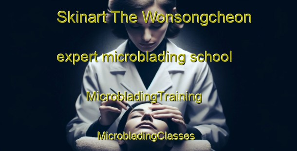 Skinart The Wonsongcheon expert microblading school | MicrobladingTraining | MicrobladingClasses | SkinartTraining-Korea