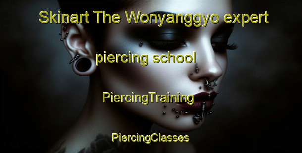 Skinart The Wonyanggyo expert piercing school | #PiercingTraining #PiercingClasses #SkinartTraining-Korea