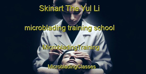 Skinart The Yul Li microblading training school | MicrobladingTraining | MicrobladingClasses | SkinartTraining-Korea