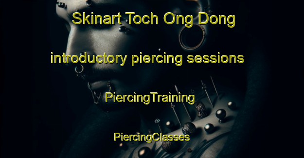 Skinart Toch Ong Dong introductory piercing sessions | #PiercingTraining #PiercingClasses #SkinartTraining-Korea