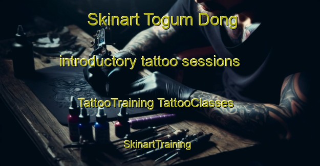 Skinart Togum Dong introductory tattoo sessions | #TattooTraining #TattooClasses #SkinartTraining-Korea