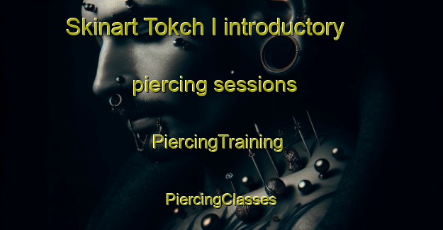 Skinart Tokch I introductory piercing sessions | #PiercingTraining #PiercingClasses #SkinartTraining-Korea