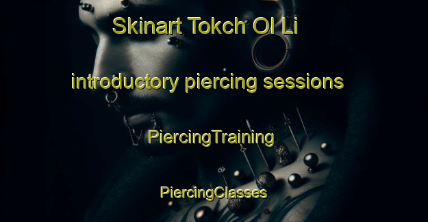 Skinart Tokch Ol Li introductory piercing sessions | #PiercingTraining #PiercingClasses #SkinartTraining-Korea