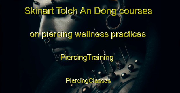 Skinart Tolch An Dong courses on piercing wellness practices | PiercingTraining | PiercingClasses | SkinartTraining-Korea