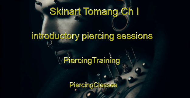 Skinart Tomang Ch I introductory piercing sessions | PiercingTraining | PiercingClasses | SkinartTraining-Korea