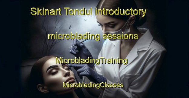 Skinart Tondul introductory microblading sessions | MicrobladingTraining | MicrobladingClasses | SkinartTraining-Korea