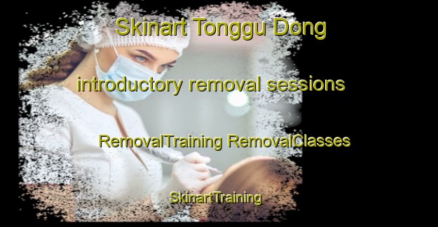 Skinart Tonggu Dong introductory removal sessions | #RemovalTraining #RemovalClasses #SkinartTraining-Korea