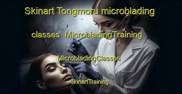 Skinart Tongmoru microblading classes | MicrobladingTraining | MicrobladingClasses | SkinartTraining-Korea