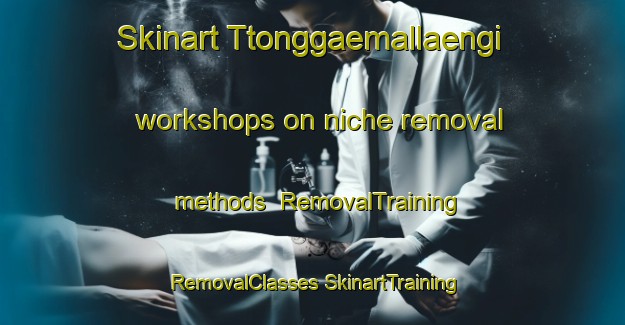 Skinart Ttonggaemallaengi workshops on niche removal methods | #RemovalTraining #RemovalClasses #SkinartTraining-Korea