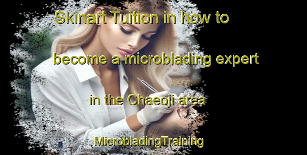 Skinart Tuition in how to become a microblading expert in the Chaeoji area | MicrobladingTraining | MicrobladingClasses | SkinartTraining-Korea
