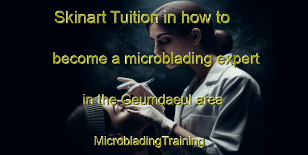 Skinart Tuition in how to become a microblading expert in the Geumdaeul area | MicrobladingTraining | MicrobladingClasses | SkinartTraining-Korea