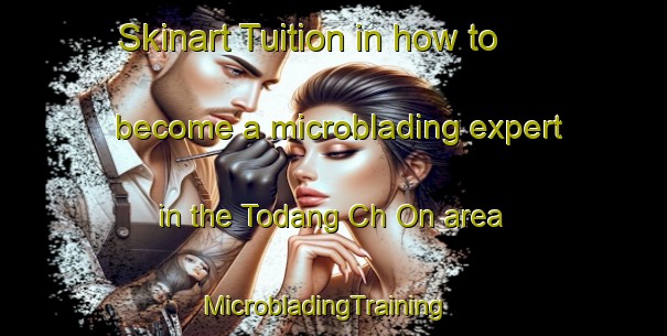 Skinart Tuition in how to become a microblading expert in the Todang Ch On area | MicrobladingTraining | MicrobladingClasses | SkinartTraining-Korea