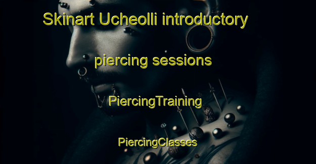 Skinart Ucheolli introductory piercing sessions | #PiercingTraining #PiercingClasses #SkinartTraining-Korea