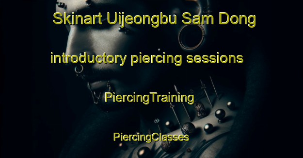 Skinart Uijeongbu Sam Dong introductory piercing sessions | #PiercingTraining #PiercingClasses #SkinartTraining-Korea