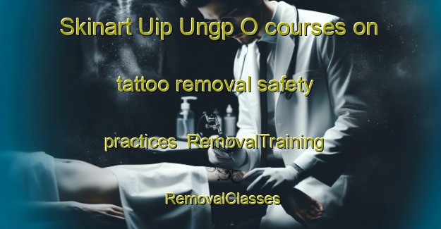 Skinart Uip Ungp O courses on tattoo removal safety practices | RemovalTraining | RemovalClasses | SkinartTraining-Korea