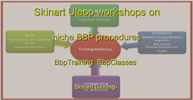 Skinart Uleop workshops on niche BBP procedures | BbpTraining | BbpClasses | SkinartTraining-Korea