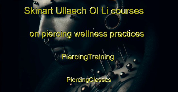 Skinart Ullaech Ol Li courses on piercing wellness practices | #PiercingTraining #PiercingClasses #SkinartTraining-Korea