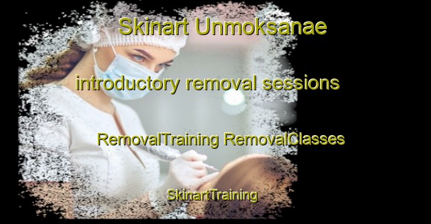 Skinart Unmoksanae introductory removal sessions | #RemovalTraining #RemovalClasses #SkinartTraining-Korea