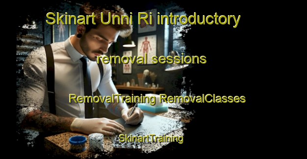 Skinart Unni Ri introductory removal sessions | #RemovalTraining #RemovalClasses #SkinartTraining-Korea