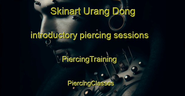 Skinart Urang Dong introductory piercing sessions | PiercingTraining | PiercingClasses | SkinartTraining-Korea