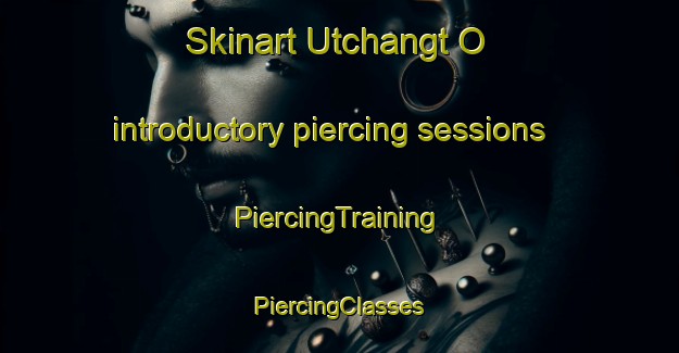 Skinart Utchangt O introductory piercing sessions | #PiercingTraining #PiercingClasses #SkinartTraining-Korea