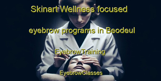 Skinart Wellness-focused eyebrow programs in Beodeul | EyebrowTraining | EyebrowClasses | SkinartTraining-Korea