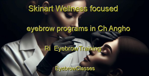 Skinart Wellness-focused eyebrow programs in Ch Angho Ri | EyebrowTraining | EyebrowClasses | SkinartTraining-Korea