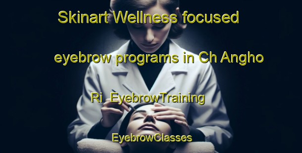 Skinart Wellness-focused eyebrow programs in Ch Angho Ri | EyebrowTraining | EyebrowClasses | SkinartTraining-Korea