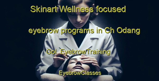 Skinart Wellness-focused eyebrow programs in Ch Odang Gol | EyebrowTraining | EyebrowClasses | SkinartTraining-Korea