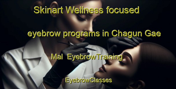 Skinart Wellness-focused eyebrow programs in Chagun Gae Mal | EyebrowTraining | EyebrowClasses | SkinartTraining-Korea