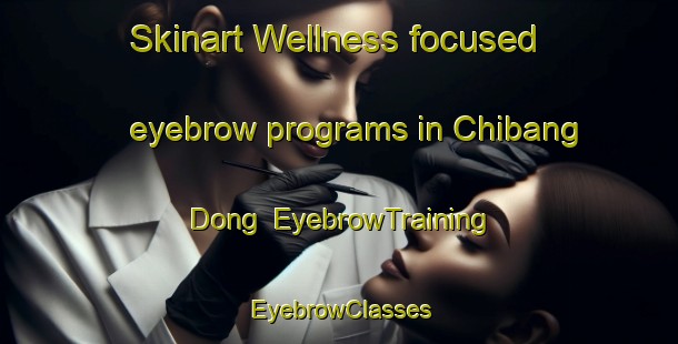 Skinart Wellness-focused eyebrow programs in Chibang Dong | EyebrowTraining | EyebrowClasses | SkinartTraining-Korea