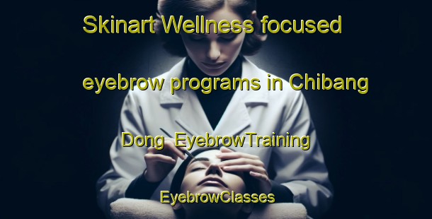Skinart Wellness-focused eyebrow programs in Chibang Dong | EyebrowTraining | EyebrowClasses | SkinartTraining-Korea