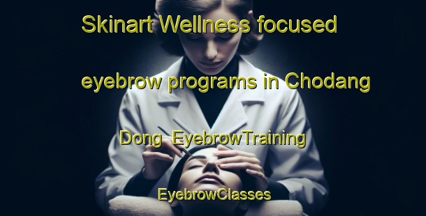 Skinart Wellness-focused eyebrow programs in Chodang Dong | EyebrowTraining | EyebrowClasses | SkinartTraining-Korea