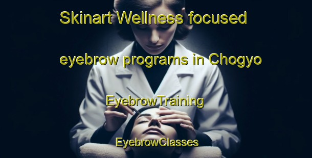Skinart Wellness-focused eyebrow programs in Chogyo | EyebrowTraining | EyebrowClasses | SkinartTraining-Korea
