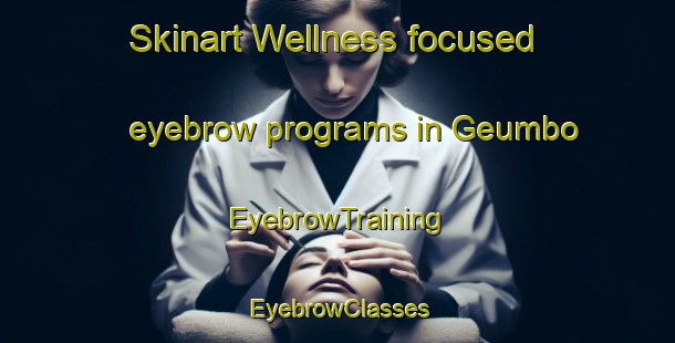 Skinart Wellness-focused eyebrow programs in Geumbo | EyebrowTraining | EyebrowClasses | SkinartTraining-Korea