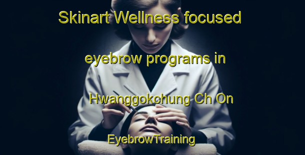 Skinart Wellness-focused eyebrow programs in Hwanggokchung Ch On | EyebrowTraining | EyebrowClasses | SkinartTraining-Korea