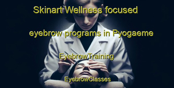 Skinart Wellness-focused eyebrow programs in Pyogaeme | EyebrowTraining | EyebrowClasses | SkinartTraining-Korea