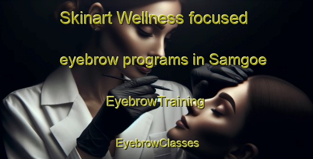 Skinart Wellness-focused eyebrow programs in Samgoe | EyebrowTraining | EyebrowClasses | SkinartTraining-Korea